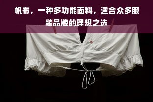 帆布，一种多功能面料，适合众多服装品牌的理想之选