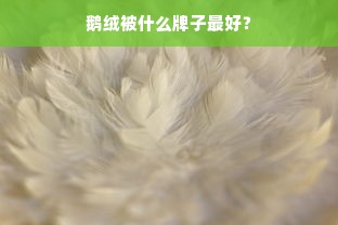 鹅绒被什么牌子最好？