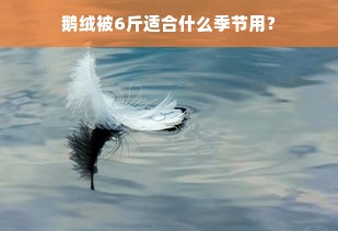 鹅绒被6斤适合什么季节用？