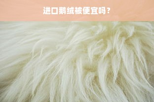 进口鹅绒被便宜吗？