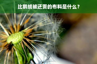 比鹅绒被还贵的布料是什么？