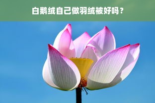 白鹅绒自己做羽绒被好吗？