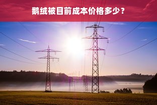 鹅绒被目前成本价格多少？