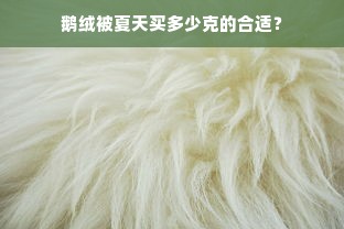 鹅绒被夏天买多少克的合适？