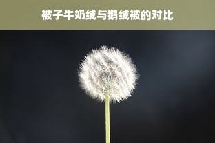 被子牛奶绒与鹅绒被的对比