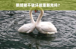 鹅绒被不破坏能重新充吗？