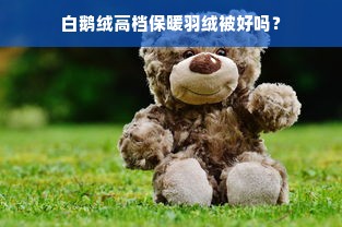 白鹅绒高档保暖羽绒被好吗？