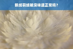 鹅绒羽绒被没味道正常吗？