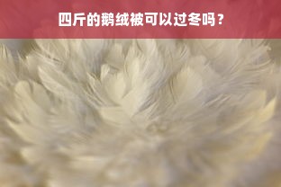 四斤的鹅绒被可以过冬吗？