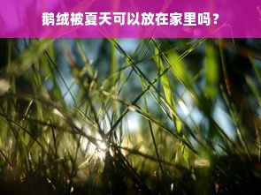 鹅绒被夏天可以放在家里吗？