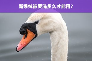 新鹅绒被要洗多久才能用？