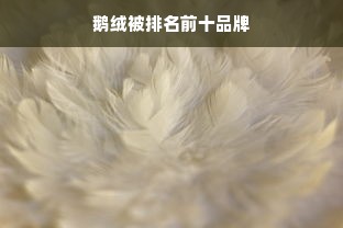 鹅绒被排名前十品牌