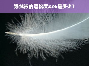 鹅绒被的蓬松度236是多少？