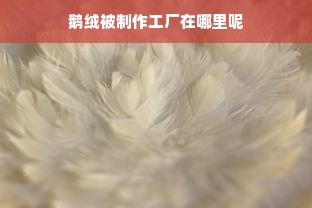 鹅绒被制作工厂在哪里呢