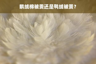 鹅绒棉被贵还是鸭绒被贵？