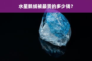 水星鹅绒被最贵的多少钱？