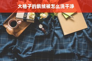 大格子的鹅绒被怎么洗干净