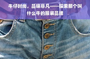 牛仔时尚，品味非凡——探索那个叫什么牛的服装品牌