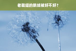 老裁缝的鹅绒被好不好？