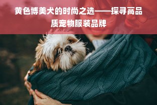 黄色博美犬的时尚之选——探寻高品质宠物服装品牌