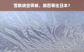 雪鹅绒空调被，能否寄往日本？