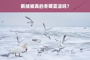 鹅绒被真的冬暖夏凉吗？