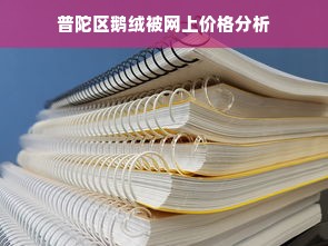 普陀区鹅绒被网上价格分析