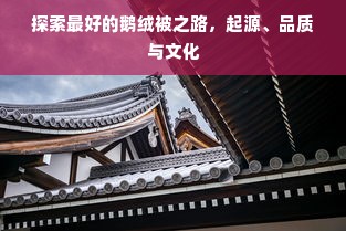 探索最好的鹅绒被之路，起源、品质与文化