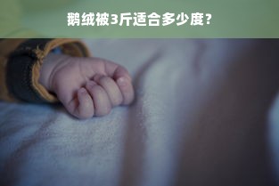 鹅绒被3斤适合多少度？