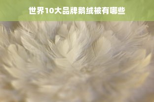 世界10大品牌鹅绒被有哪些