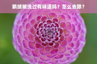 鹅绒被洗过有味道吗？怎么去除？