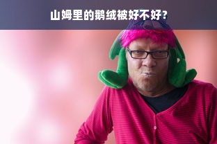 山姆里的鹅绒被好不好？