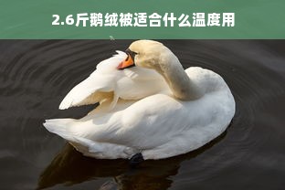 2.6斤鹅绒被适合什么温度用