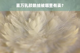 素万乳胶鹅绒被哪里有卖？