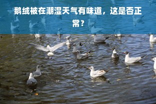 鹅绒被在潮湿天气有味道，这是否正常？