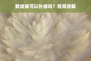 鹅绒被可以补绒吗？视频讲解