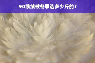 90鹅绒被冬季选多少斤的？