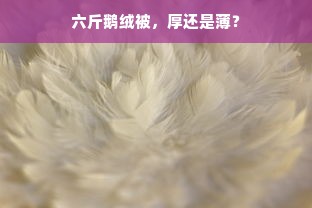 六斤鹅绒被，厚还是薄？