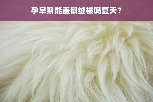 孕早期能盖鹅绒被吗夏天？