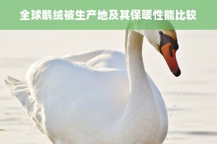 全球鹅绒被生产地及其保暖性能比较