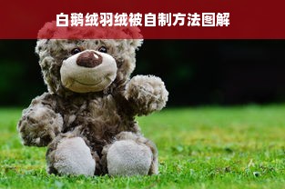 白鹅绒羽绒被自制方法图解