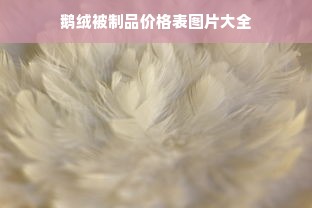 鹅绒被制品价格表图片大全