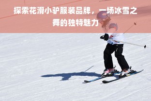 探索花滑小驴服装品牌，一场冰雪之舞的独特魅力