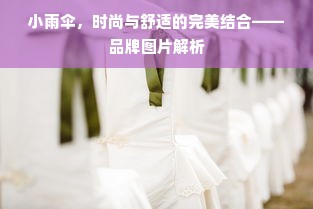 小雨伞，时尚与舒适的完美结合——品牌图片解析