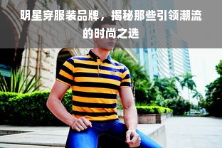 明星穿服装品牌，揭秘那些引领潮流的时尚之选