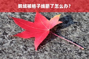 鹅绒被格子线断了怎么办？