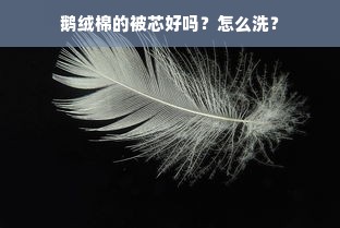 鹅绒棉的被芯好吗？怎么洗？