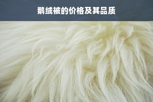 鹅绒被的价格及其品质