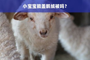 小宝宝能盖鹅绒被吗？