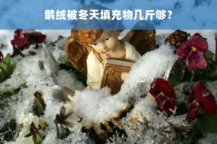 鹅绒被冬天填充物几斤够？